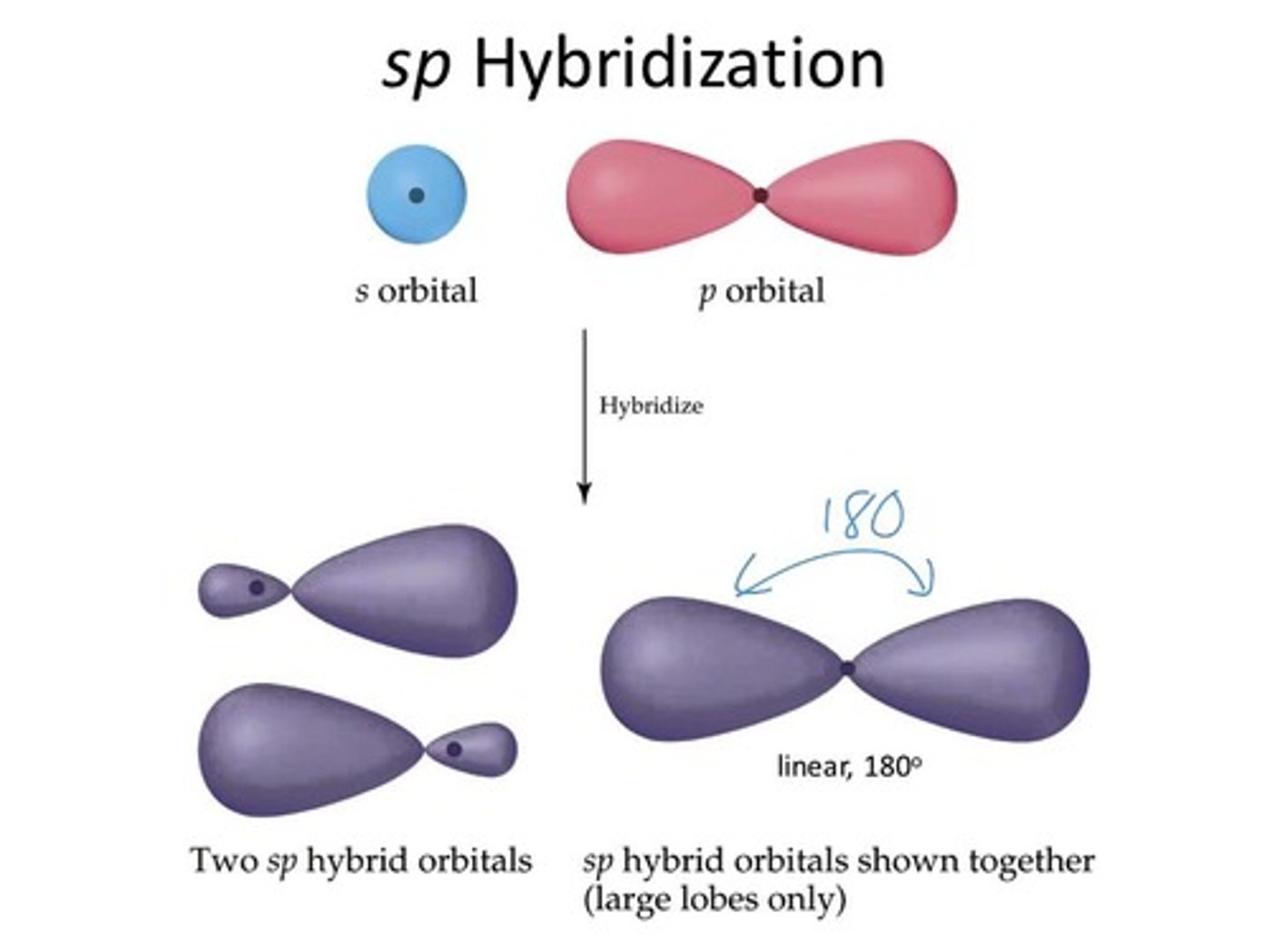 <p>(A) 50%, 50%<br><br>In sp hybridization, the hybrid molecular orbitals have 50% s character and 50% p character.</p>