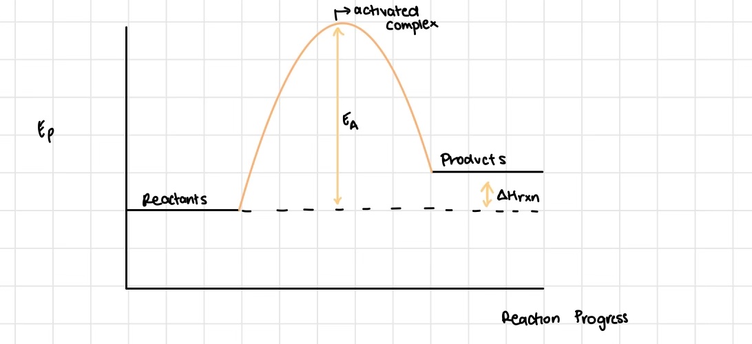 <ul><li><p>the difference between the average energy of the products and the average energy of the reactions (ΔH)</p></li><li><p>the activation energy (obtained experimentally)</p></li></ul>