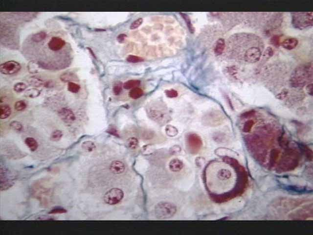 <p>What is this?</p>