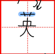 term image
