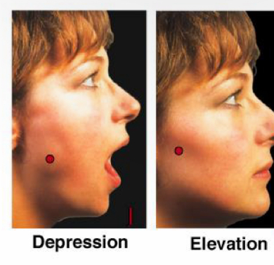 <p>Depression </p>