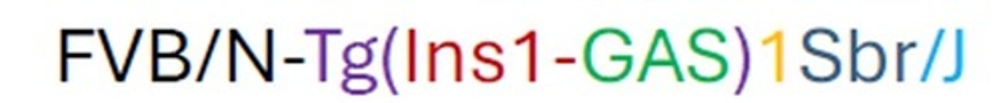 <p>What does this mean?</p>