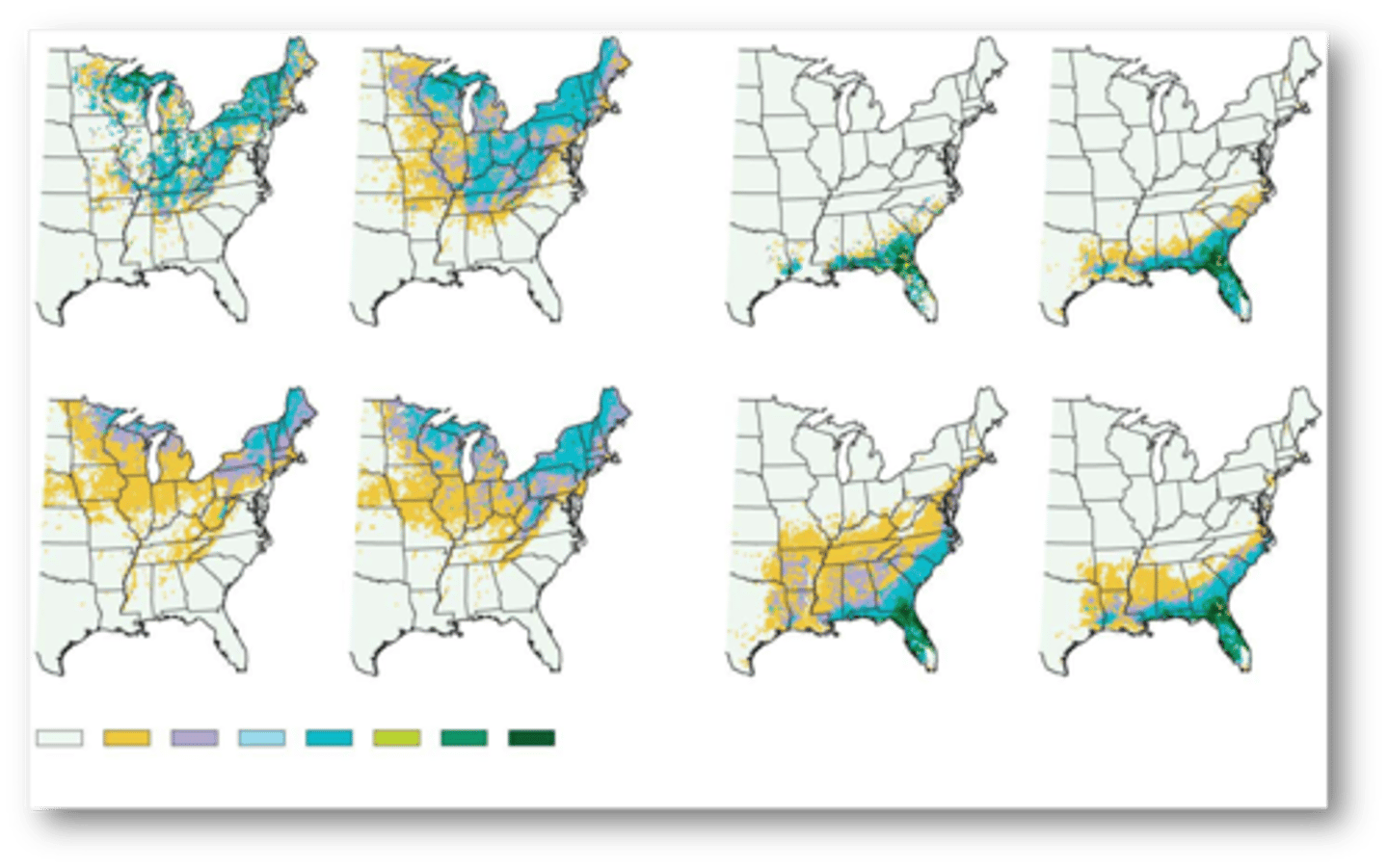 <p>two tree species using high and low future emission estimates</p>