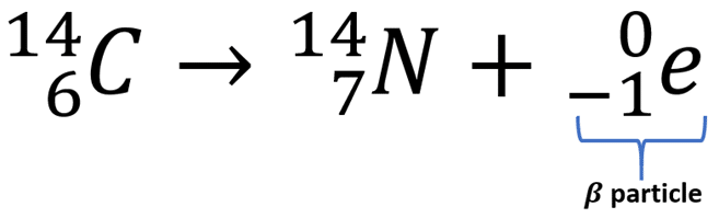 <p>A process where a neutron is converted into a proton and an electron, resulting in an increase in atomic number.</p>