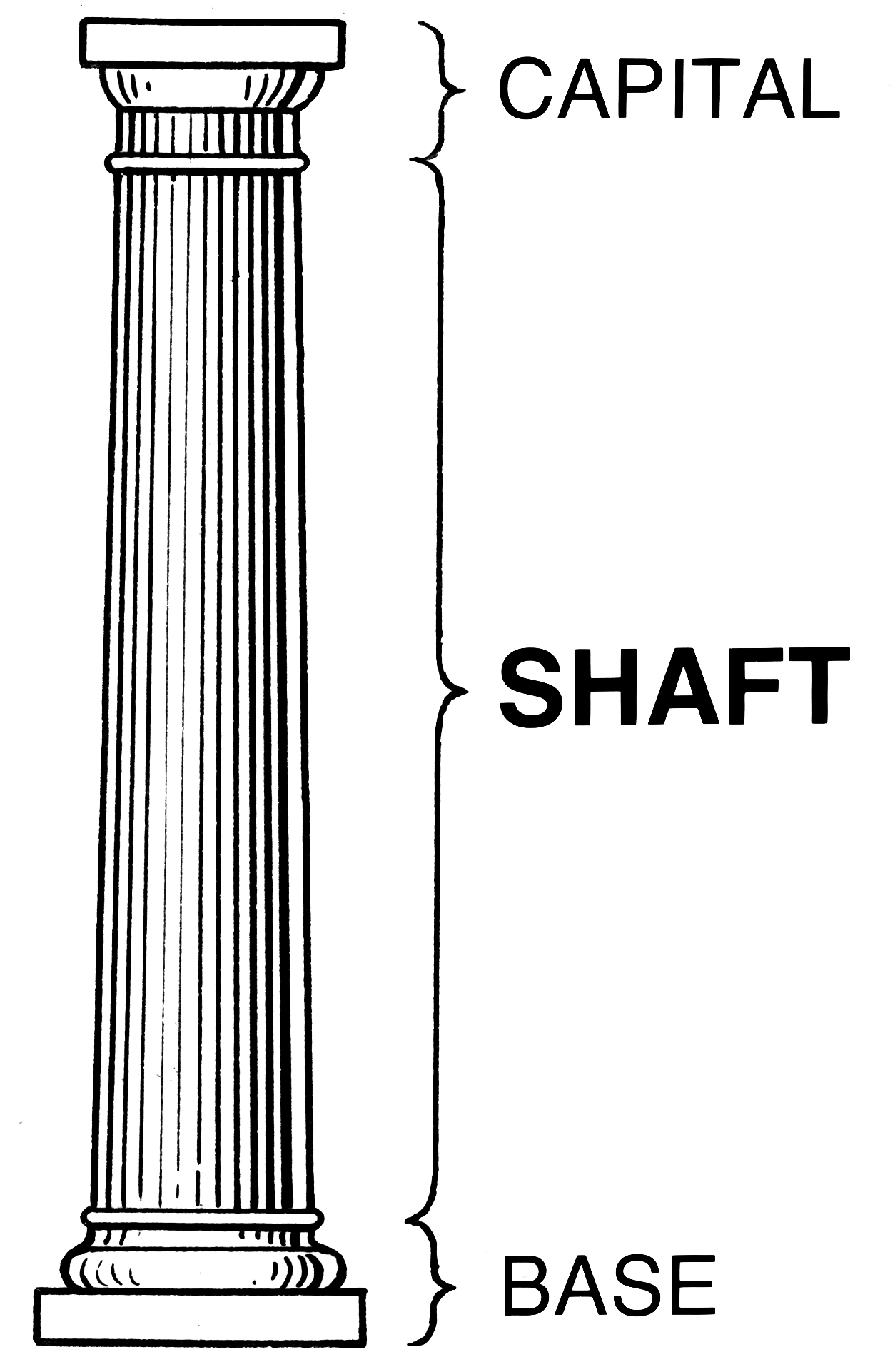 <p>The tall, cylindrical part of a column between the capital and the base.</p>