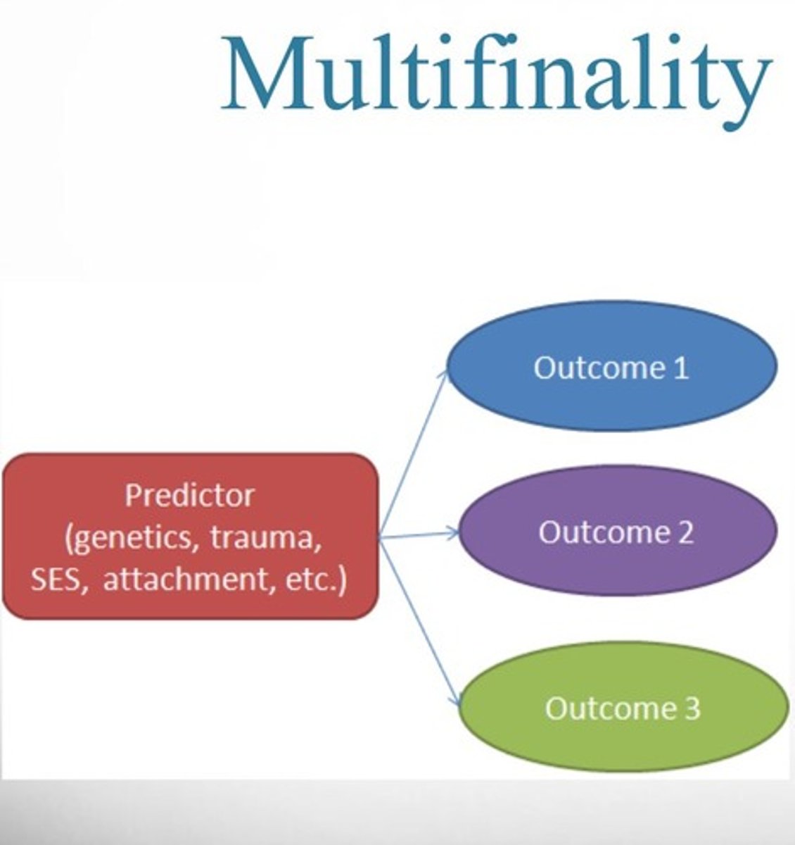 <p>same cause leads to different outcomes</p>