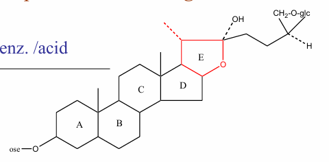 <p>Nhóm Furostan</p>