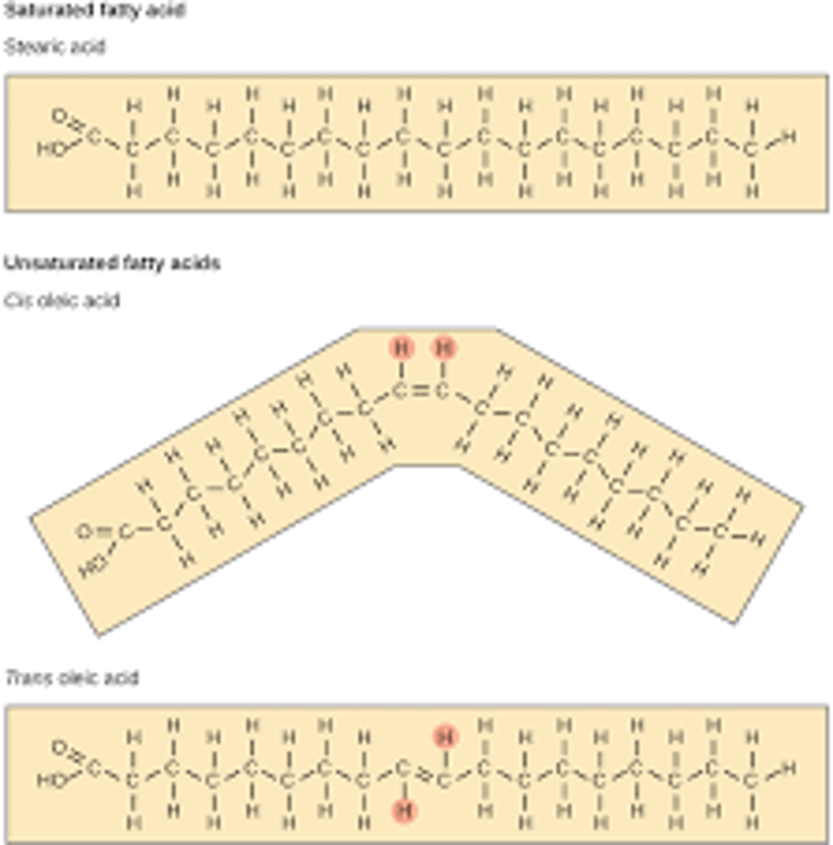<p>- fatty acid chain includes bends then liquid at room temp</p><p>-fatty acid chains don't include bends then are compact and solid at room temp.</p>