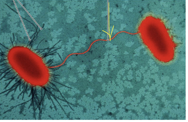 <p>What is this? Yellow Arrow</p>