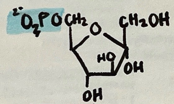 <p>name the following intermediate</p>