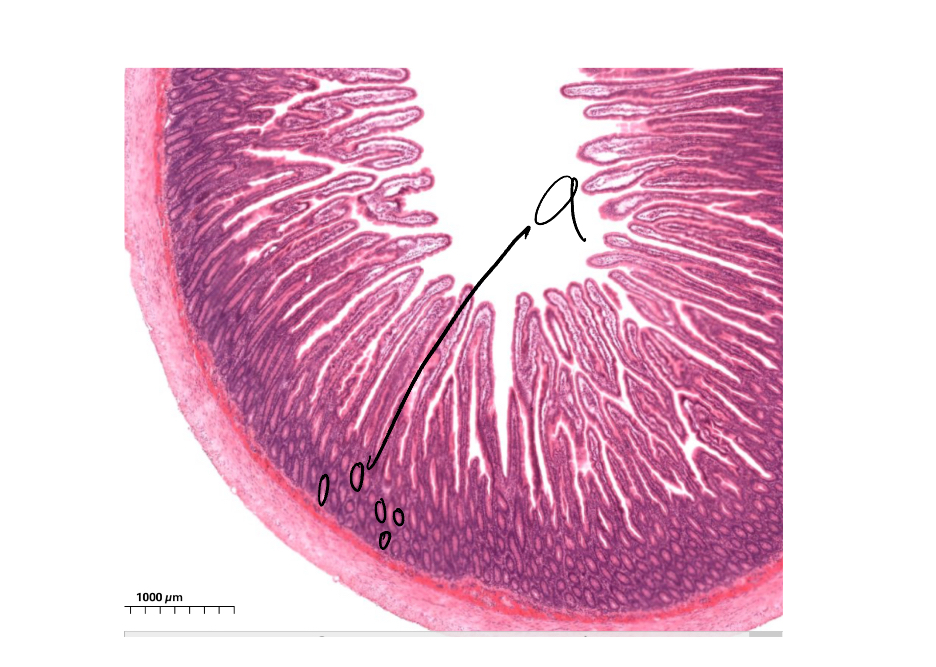 <p>9</p>