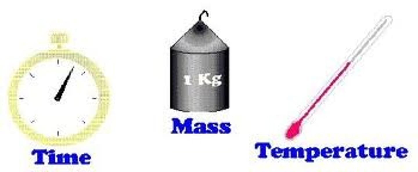 <p>A quantity that has magnitude but not direction, such as mass and volume.</p>