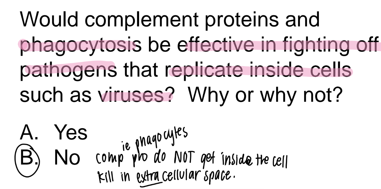 <p>HELL NO. </p><p>comp pro’s (ie phagocytes) canNOT get into the cell to kill the viruses specifically. </p><p>only kill OUTSIDE (extracellular) → unecessary inflamm </p>