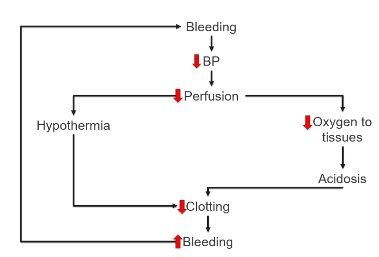 <ul><li><p>trauma consumes clotting factors</p></li><li><p>hypothermia + acidosis → shuts down clotting pathways</p></li><li><p>dilution of clotting factors (too much saline)</p></li><li><p>liver cannot produce clotting factors fast enough → hypoperfusion</p></li></ul><p></p>