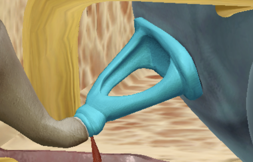<p>what is highlighted </p>