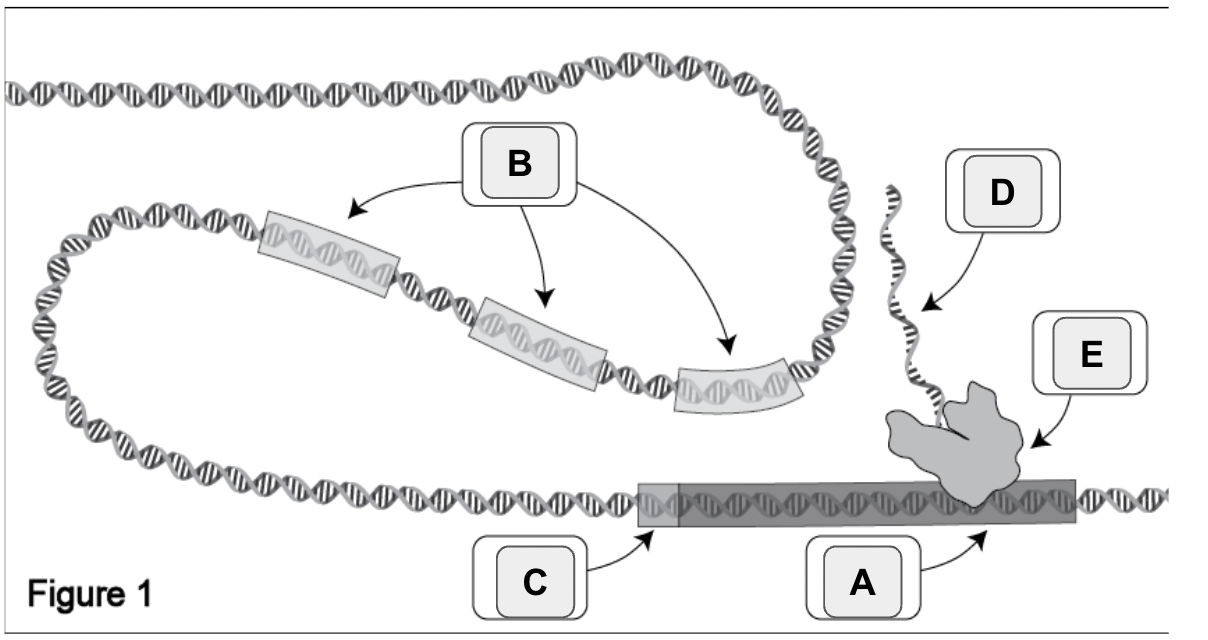 <p>What are the letters in the picture?</p>