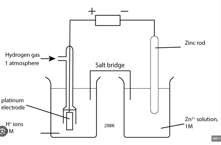 knowt flashcard image