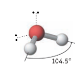 <p>T-shaped</p>