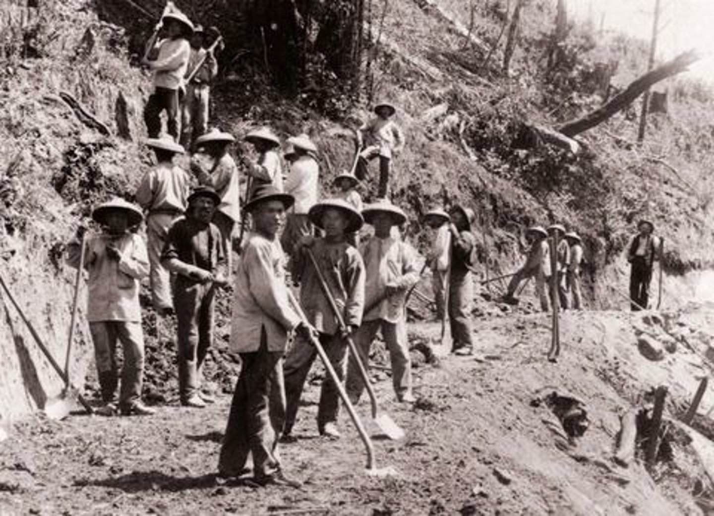 <p>Labor group of the Transcontinental Railroad who was treated poorly</p>