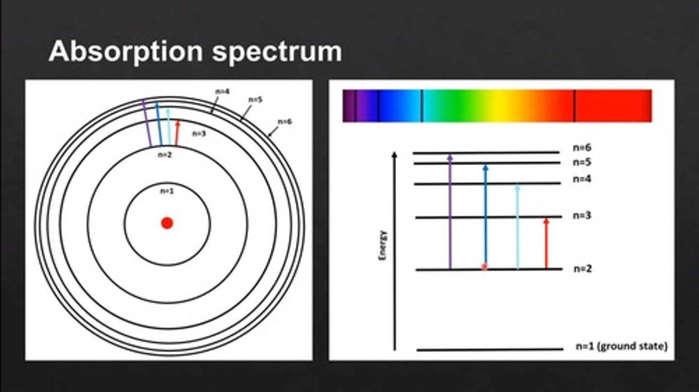 <p>Wavelengths absorbed by a substance, creating dark lines.</p>