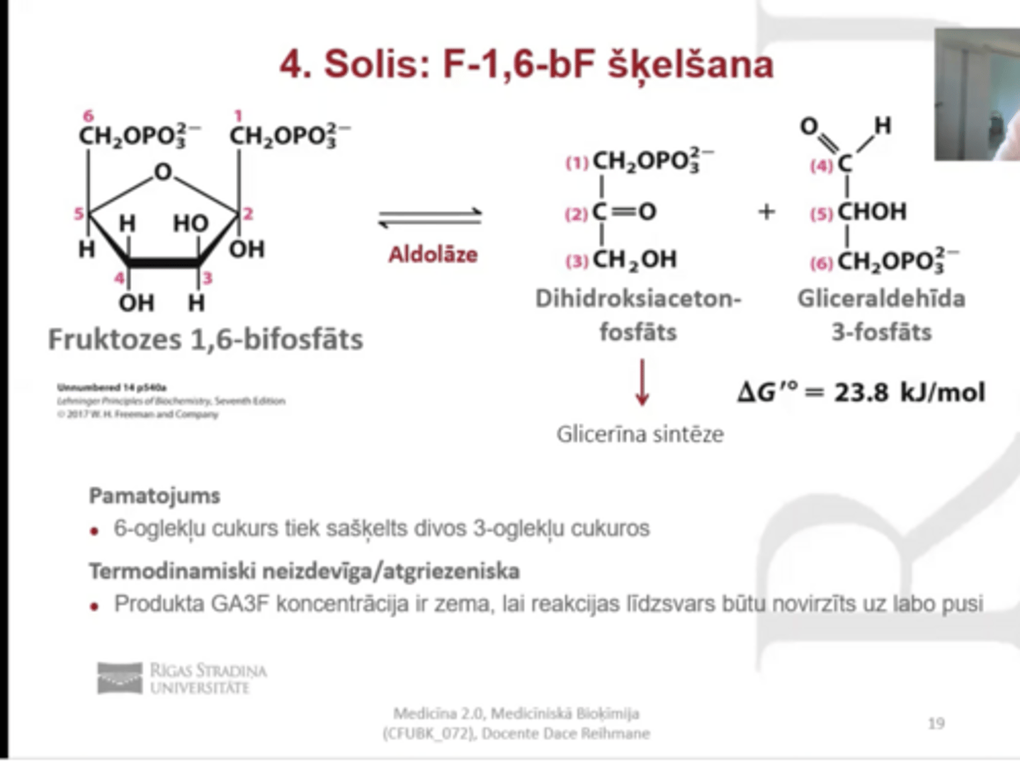 <p>F-1, 6, bF šķelšana</p><p>Fruktozes 1, 6 bifosfāts <==> dihidroksiacetonfosfāts+ gliceraldehīda 3- fosfāts</p><p>Pamatojums- 6 c cukurs sašķelts par diviem 3 C cukuriem</p><p>enzīms- aldelāze</p><p>dihidroksiacetonfosfāts var tikt izmantots glicerīna sintēzei</p><p>gliceraldehīda 3- fosfāta koncentrācija ir zema lai līdzsvars novirzīts uz labo pusi</p><p>TERMODINAMISKI NEIZDEVĪGA / ATGRIEZENISKA</p>