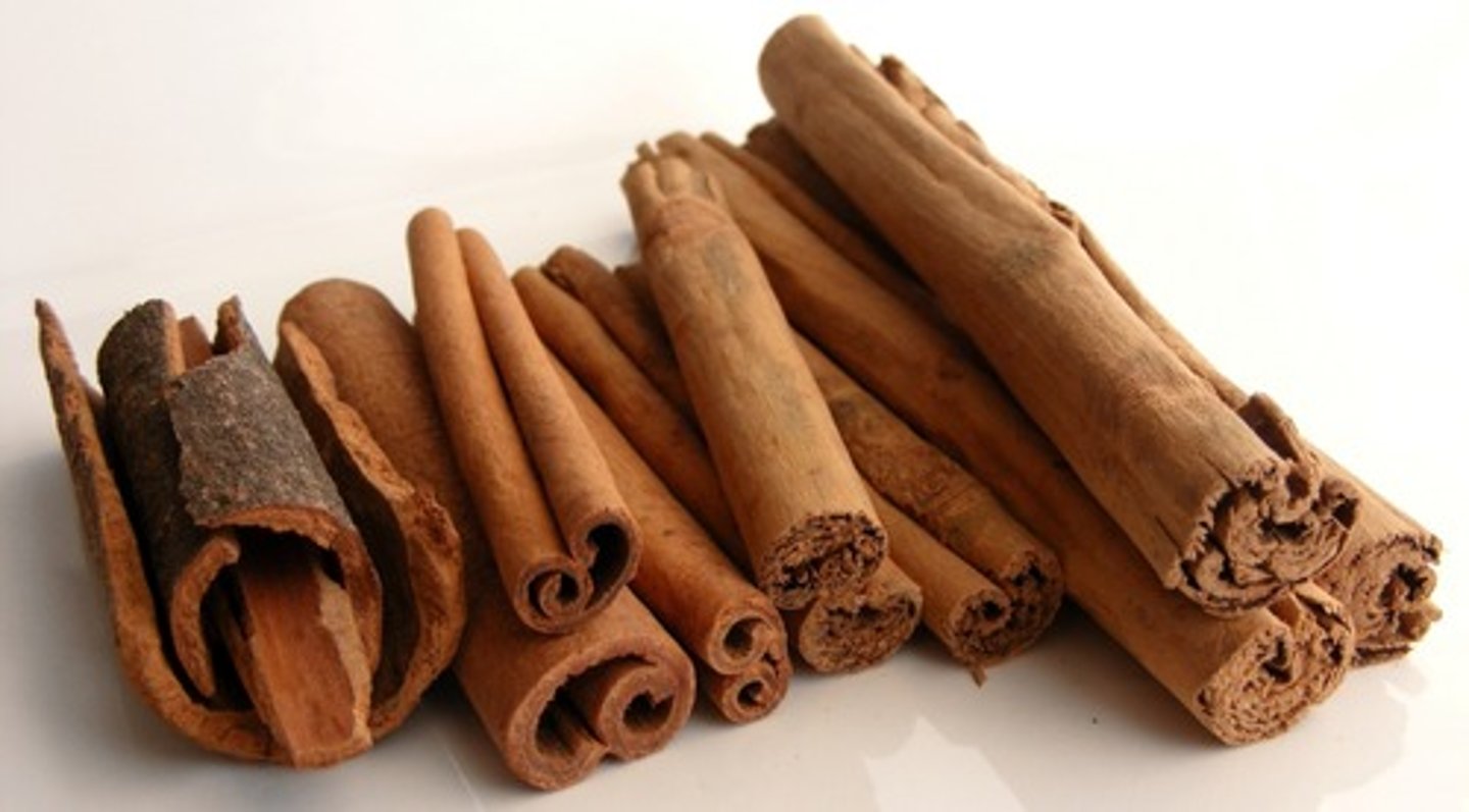 <p>Part Used: cinnamon oil extracted from the bark and leaf oil</p><p>Actions: astringent*, carminative*; antibacterial (h. pylori), antimicrobial</p><p>Indications: loss of appetite; N/V, dyspepsia</p><p>SE: GI irritant, N/V</p><p>CI: Pregnancy; ulcers, acid reflux; prolonged use of essential oils</p><p>"The cinnamon bear fed his friends (stimulates appetite) and settled their tummies (n/v; dyspepsia)</p><p>cinnamon</p>