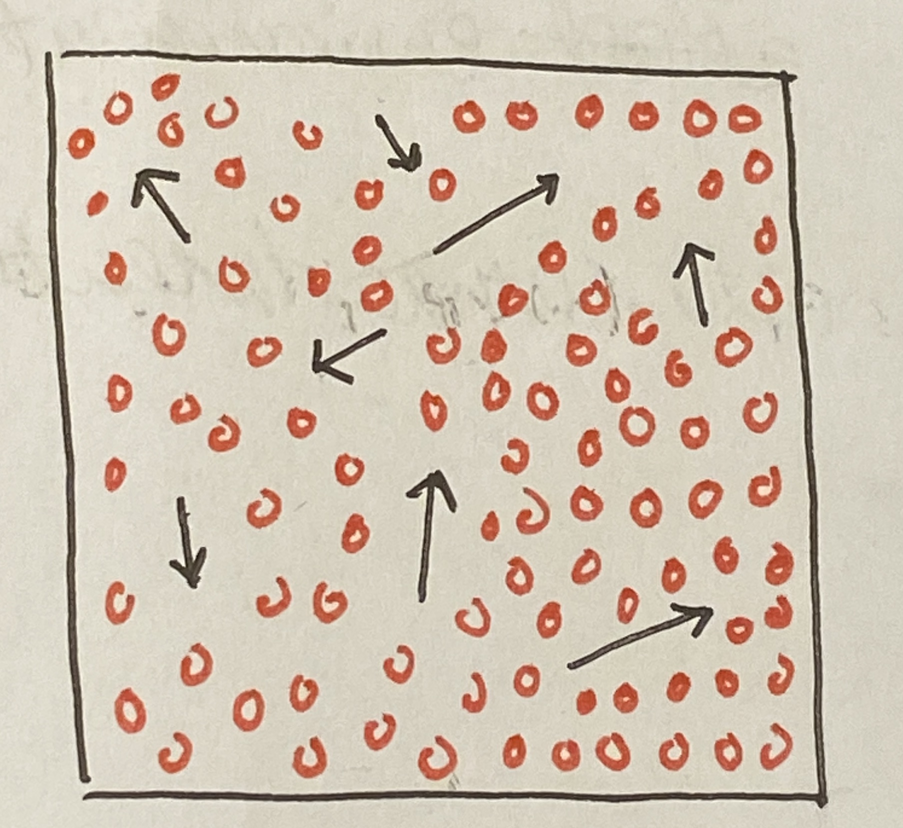 <p>Net movement of particles from a higher to a lower concentration</p>