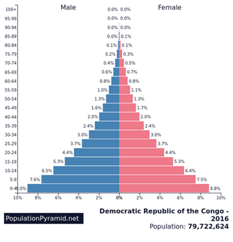 population pyramid 