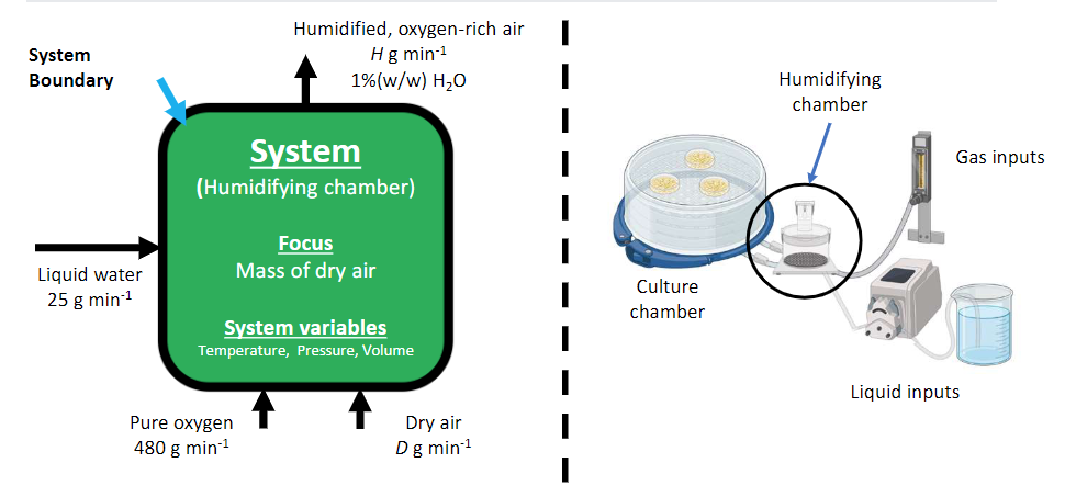 <p>Humidified oxygen-enriched air is generated for a gluconic acid fermentation process. This is achieved within a specialized humidification chamber. Liquid water is introduced into the chamber at a rate of 1.5 liters per hour, concurrently with dry air and a flow of 15 mol/min of dry oxygen gas. All supplied water is vaporized during the process. Upon exiting the chamber, the gas is observed to contain 1% (w/w) water content</p>