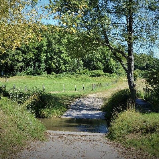 <p>Quel mot désigne une zone peu profonde d’une rivière permettant une traversée à pied ou en véhicule ?</p>