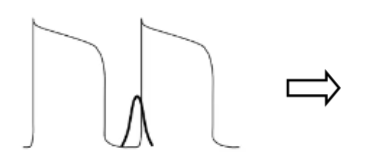 <p>what does this initial action potential represent and what would the outcome be?</p>