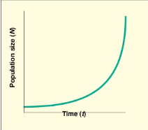 <p>Increase of population at an exponential rate.</p>