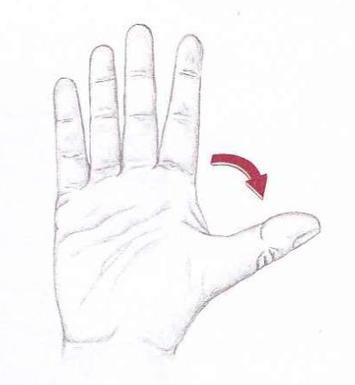 <p>movement away from margin</p>