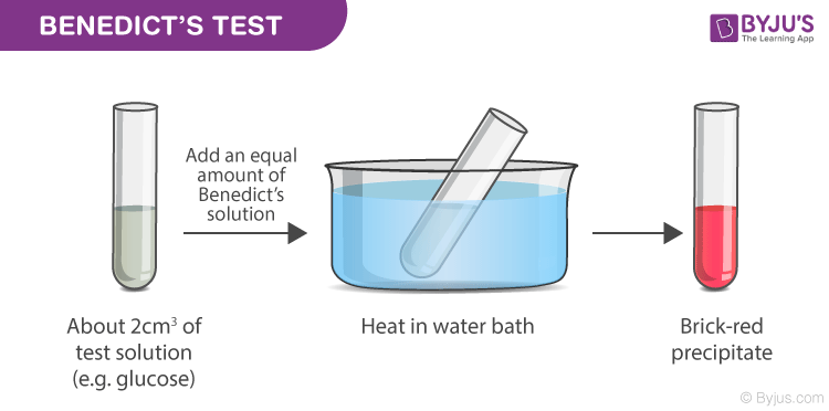 <p><strong>Benedict’s test:</strong></p><ul><li><p>add Benedict's reagent to the sample &amp; heat on a Bunsen burner/water bath</p></li><li><p>if reducing sugars are present, the sample will change from blue to brick red precipitate</p></li></ul><p></p>