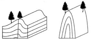 <p>The sedimentary bedrock in both regions originally formed as…</p>
