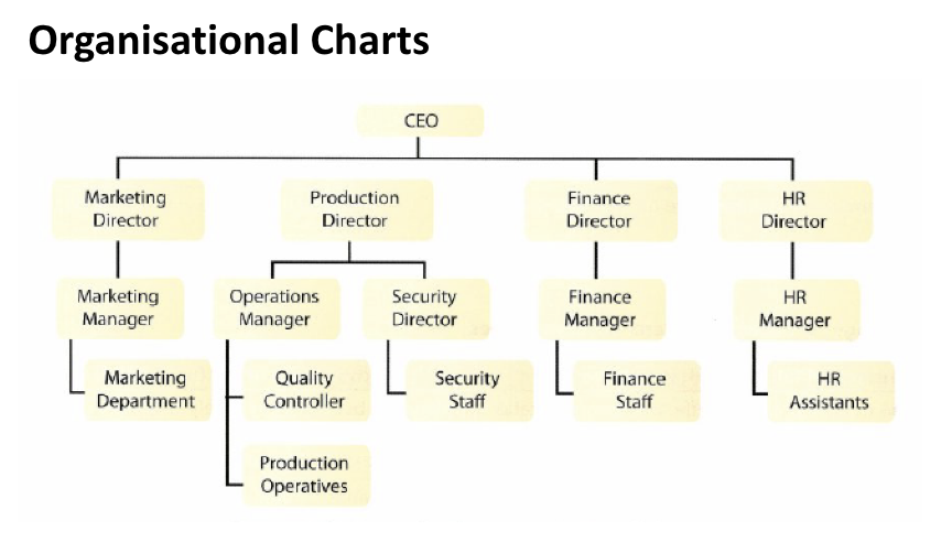 <p>An organizational chart is a diagram representation of the firm’s formal structure. It shows the functional departments, chain of command, span of control, communication channels and hierarchy levels.</p>