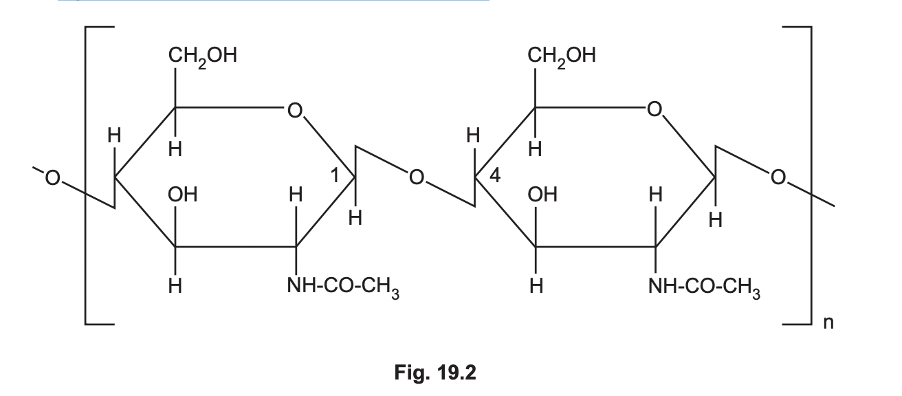 Chitin is a polysaccharide found in insects. It is used to form the hard outer casing of their bodies.  Fig. 19.2 shows the chemical structure of chitin.

describe 2 similarities and 2 differences between structures of chitin and glycogen 