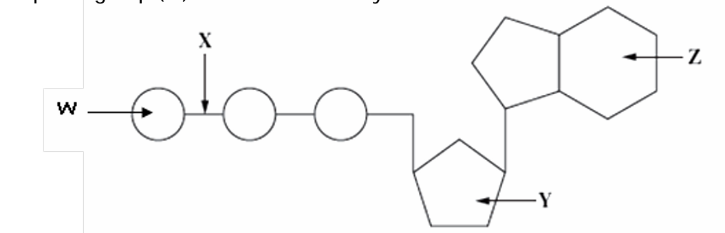 <p>Adenosine triphosphate</p>