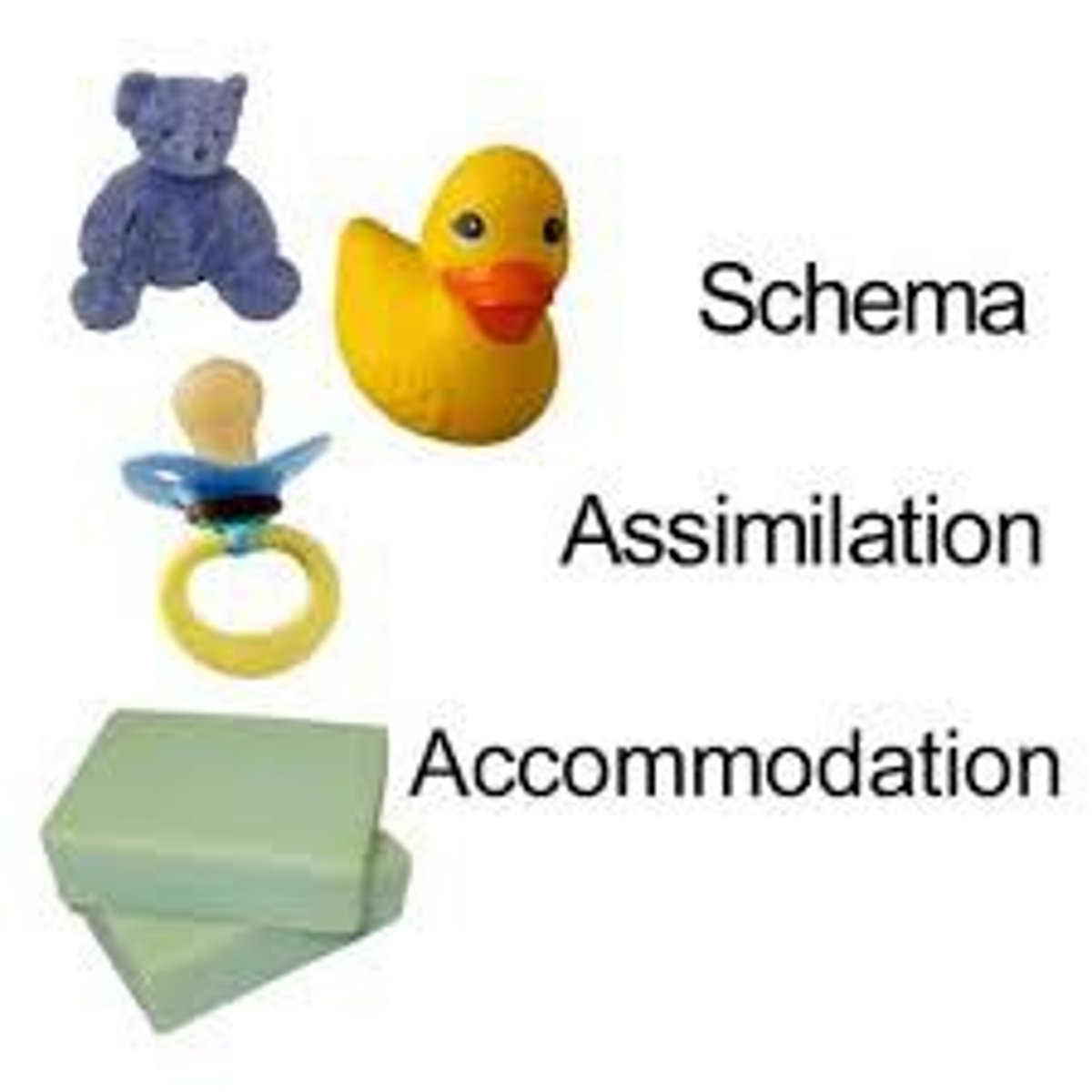 <p>interpreting our new experiences in terms of our existing schemas</p>