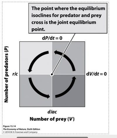 <p>vertical line - predator</p><p>horizontal line - prey</p>