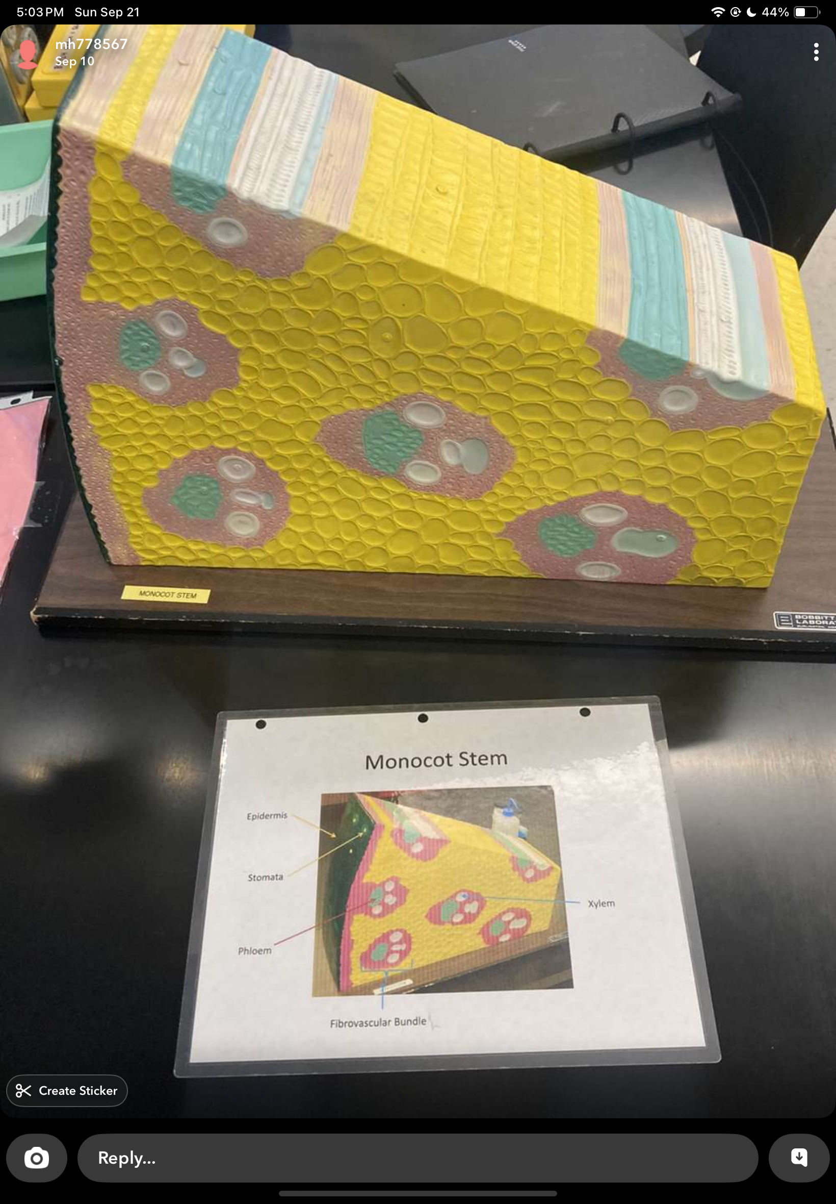 knowt flashcard image