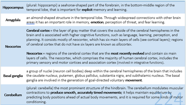 <p>The ability to maintain information in LTM involves a gradual strengthening of the connections among the neurons in the brain.</p><p></p>