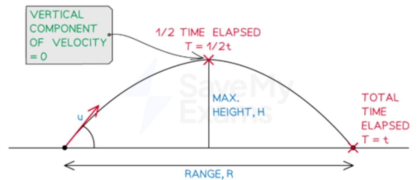 <p>Any object that moves through the air, acted on only by gravity, as drag forces are negligible</p>