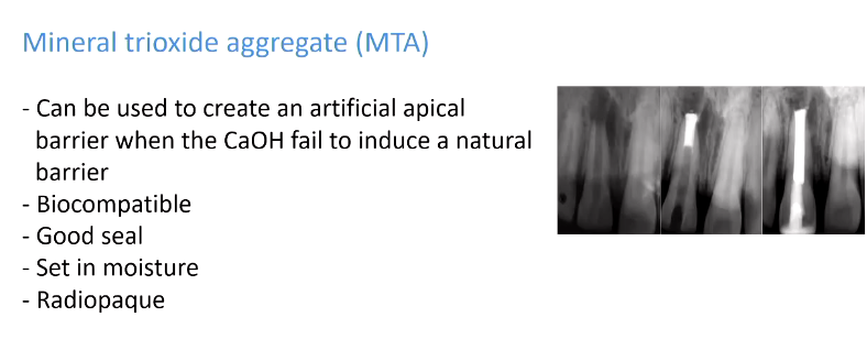 <p>long to wait 2 years</p><p>5 mm of MTA then the root filling material</p>