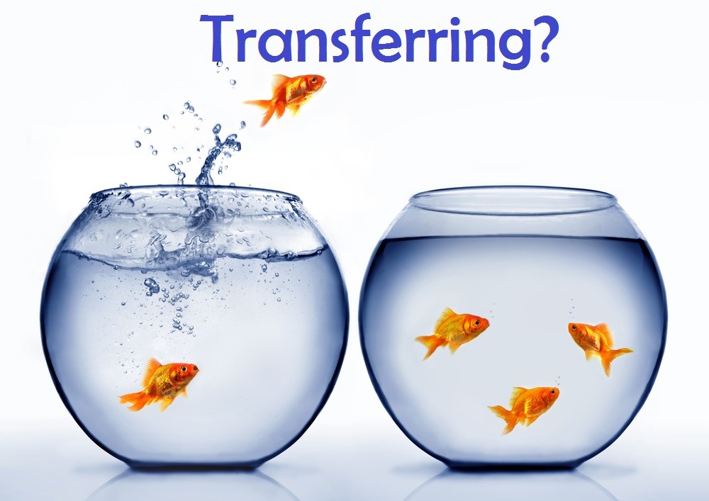 <p>Transfer</p>