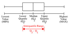 <p>minimum, 1st quartile, median, 3rd quartile, maximum</p>