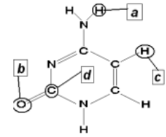 <p>which of the atoms in the structure at the right could be a H-bond donor? a H-bond acceptor?</p>