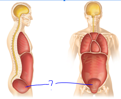 <p>(?)</p>