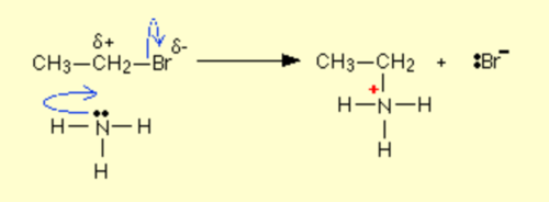 lone pair on N atom of ammonia is attracted to positive charge in carbon in halogenoalkane. Lone pair forms a covalent bond between N-C producing a quaternary salt. (CH3-N+H2- CH3)