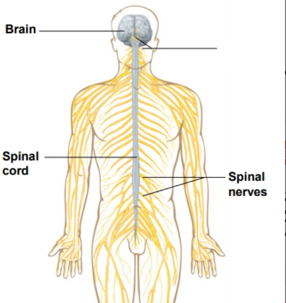 <p>Label the diagram </p>